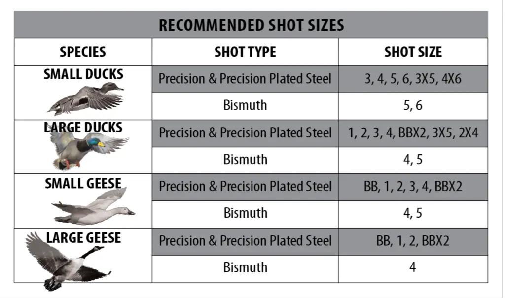 What Shot Size for Ducks