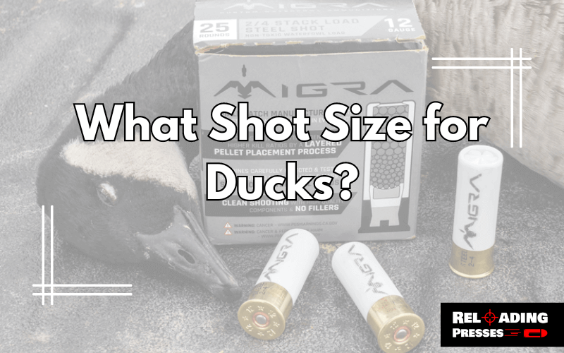 What Shot Size for Ducks-FI