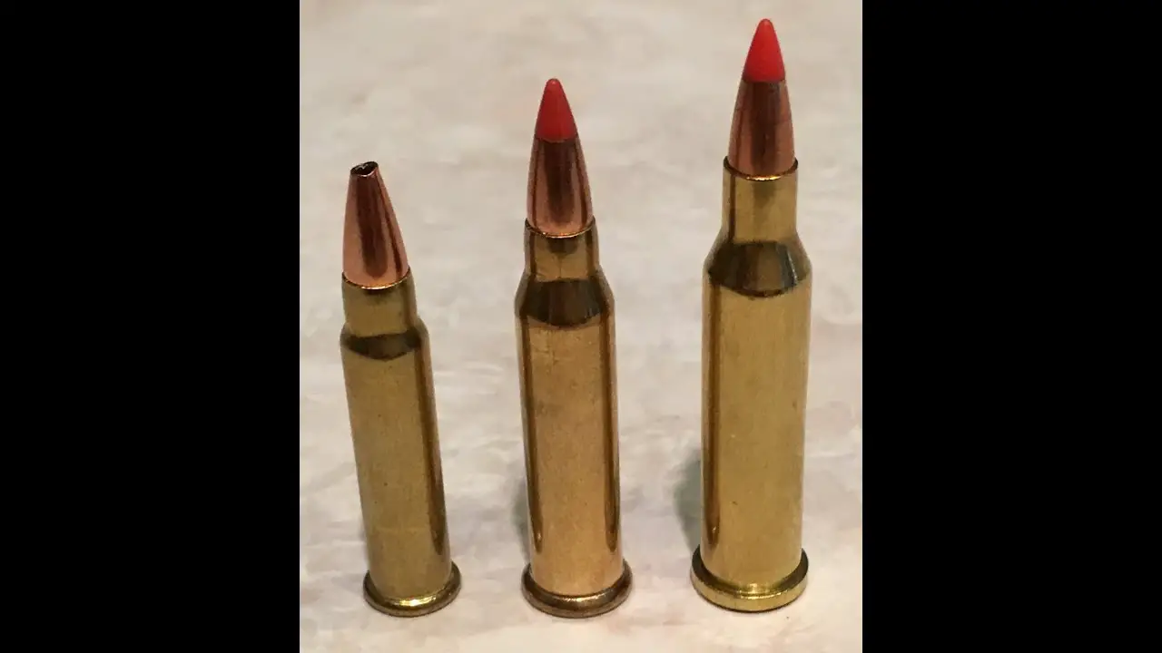 17 Hmr Vs 17 Hornet