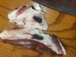 Black Spots on Deer Meat