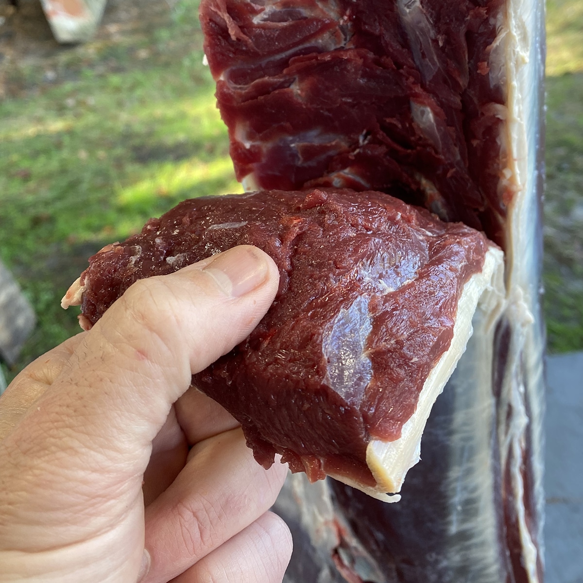 Can You Eat Raw Deer Meat