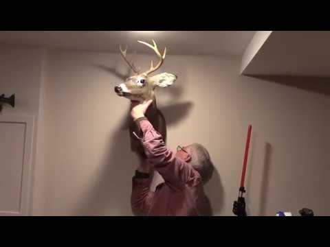 How to Hang a Deer Mount