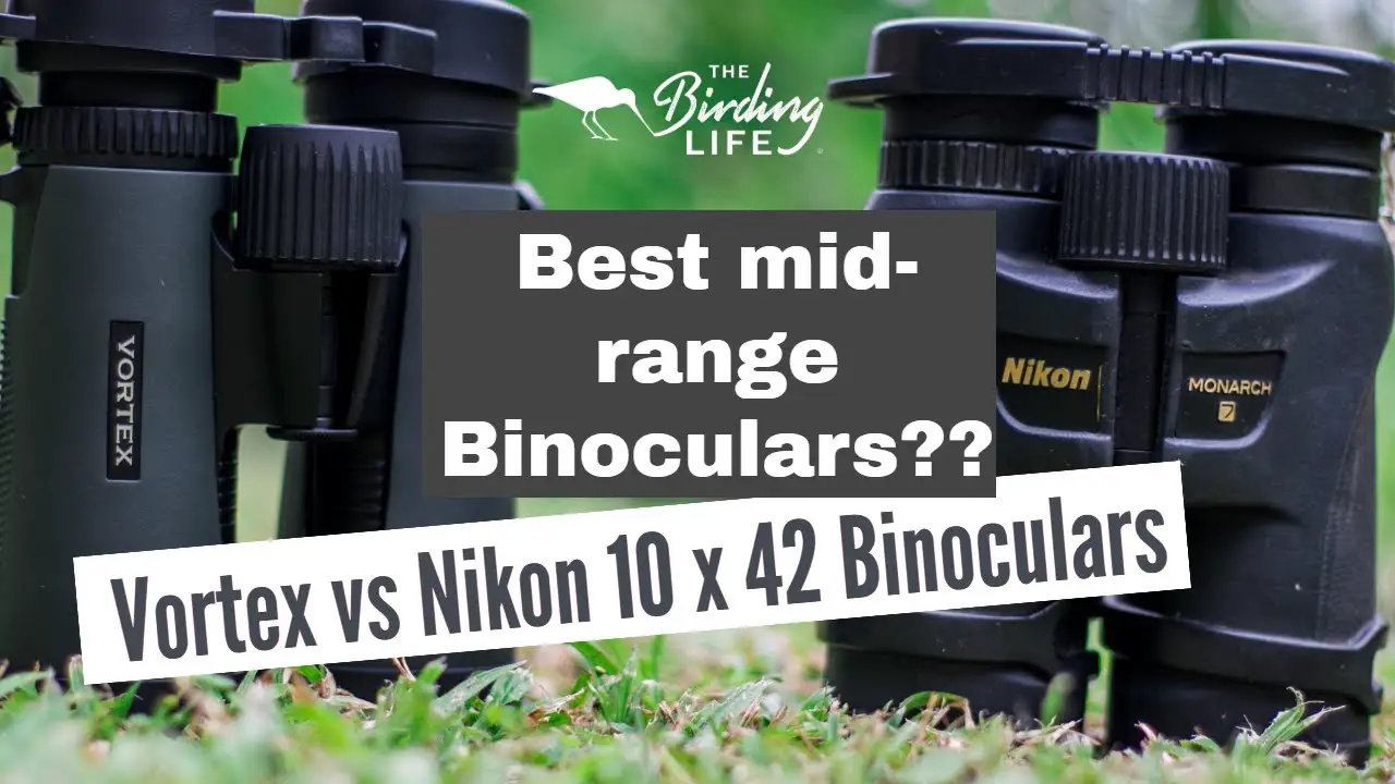 Nikon Vs Vortex Binoculars